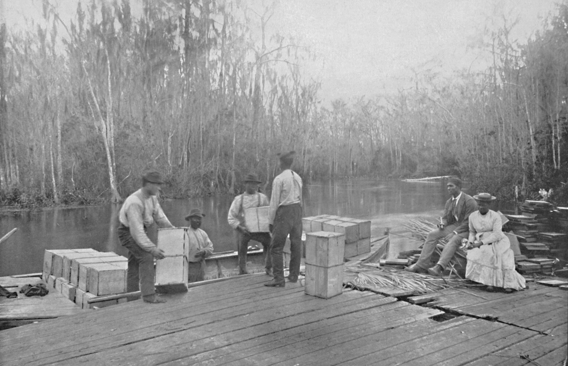 1897: Loading oranges